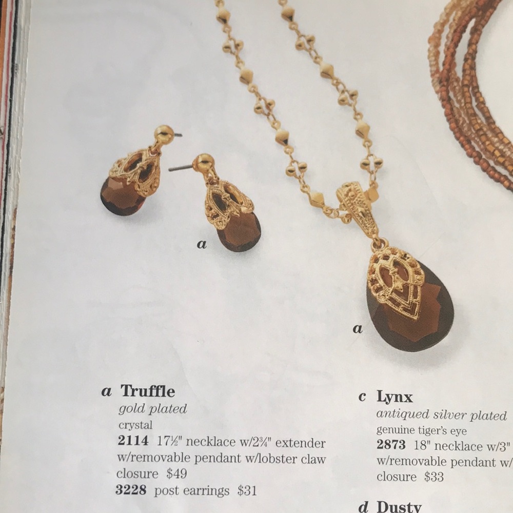 Gorgeous Premier Designs Truffle set